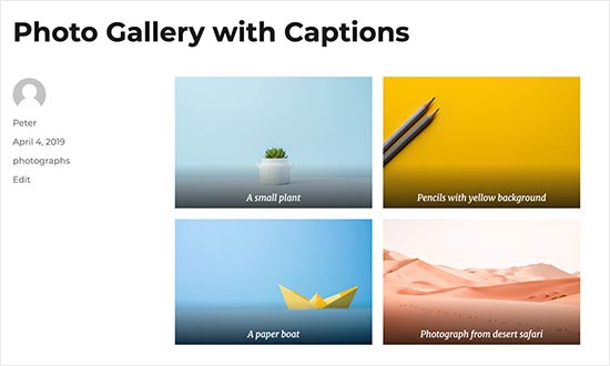 Una galería de imágenes con subtítulos para cada imagen.