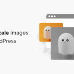 Como poner imagenes en escala de grises en WordPress